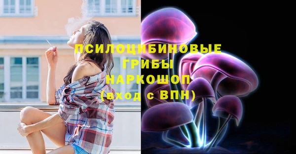 бошки Алексеевка