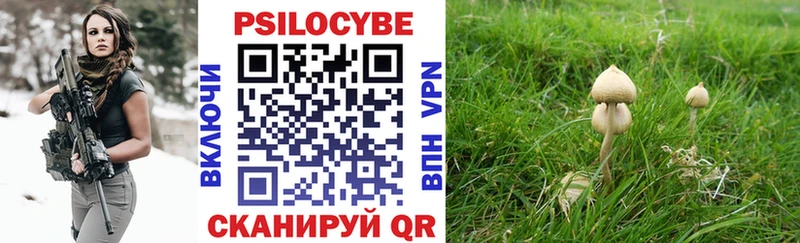 Галлюциногенные грибы Cubensis  Набережные Челны 
